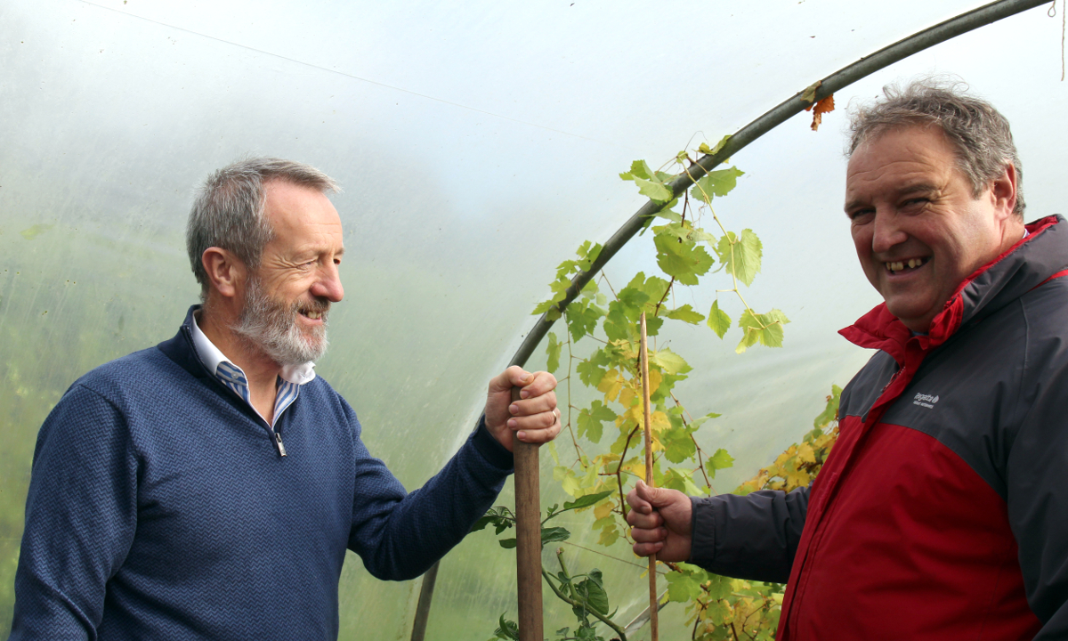 MEP Seán Kelly pictured with his cousin (and a social farming participant) George Kelly