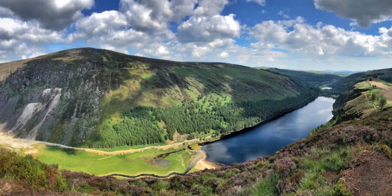 How is Wicklow PPN’s Community Wellbeing pilot driving change?