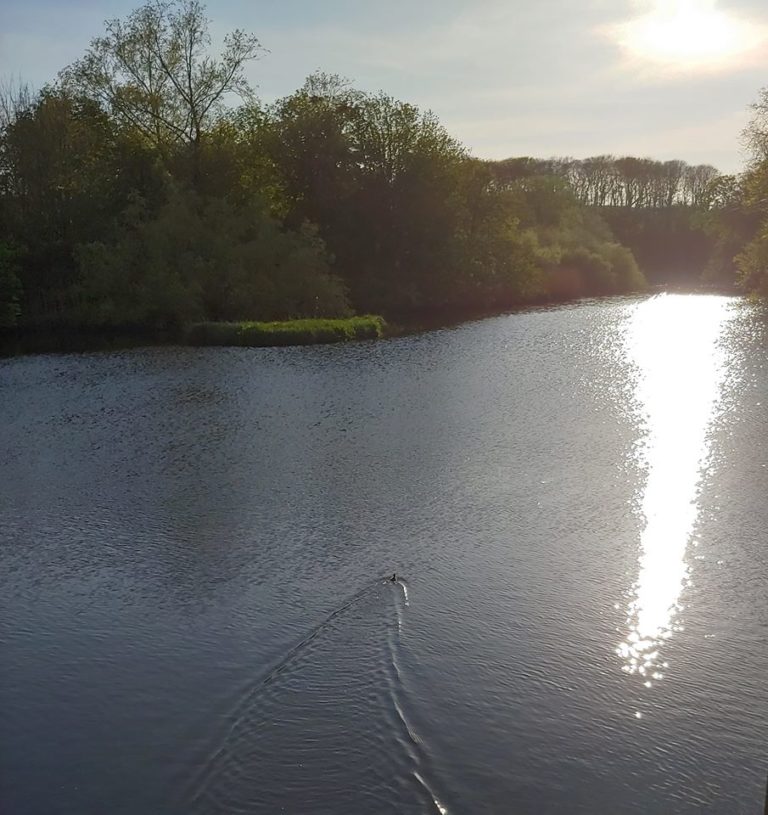 Harry’s Diary – Day 38 (Tues, April 21)