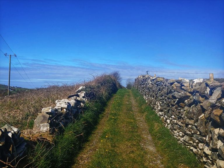 Harry’s Diary – Day 25 (Wed, April 8, 2020)