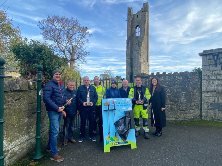Thousands up for grabs in Tidy Towns Special Awards