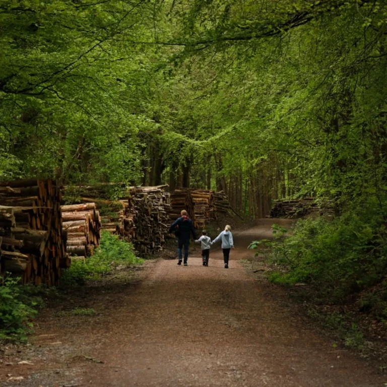 203 community groups to receive funding for local trails