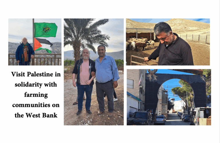 Follow me on a solidarity visit to rural communities in Palestine’s West Bank