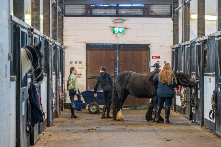 Horses were seen as for people with money: Fettercairn Youth Horse Project celebrates 30 years