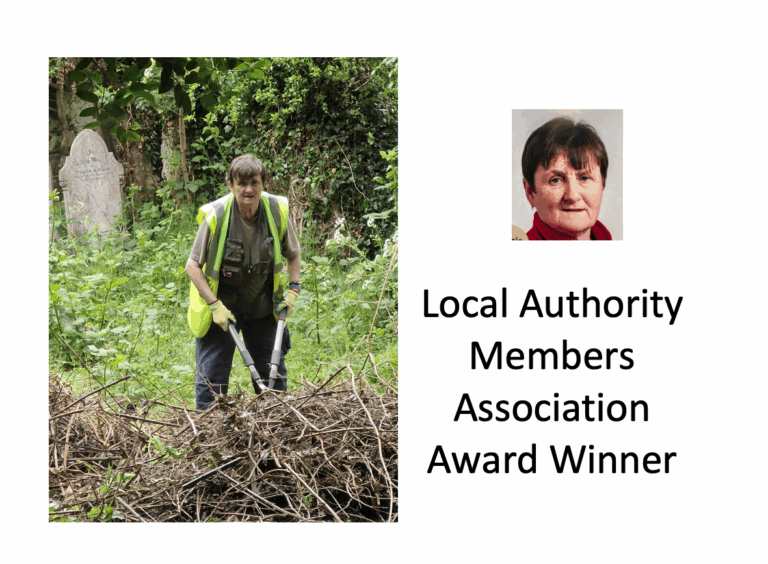 Dublin’s Bernie Roche mortified yet proud to be Community Volunteer of the Year
