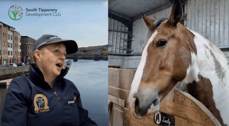 Tipperary early school leaver breaks into niche work with horses and children with special needs