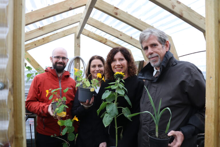 Why community gardening is good for staff morale