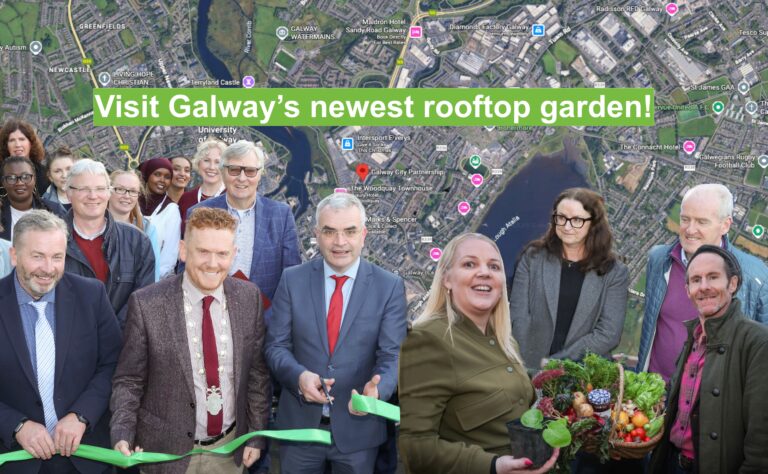 Spuds overhead in Galway city after Minister opens roof garden