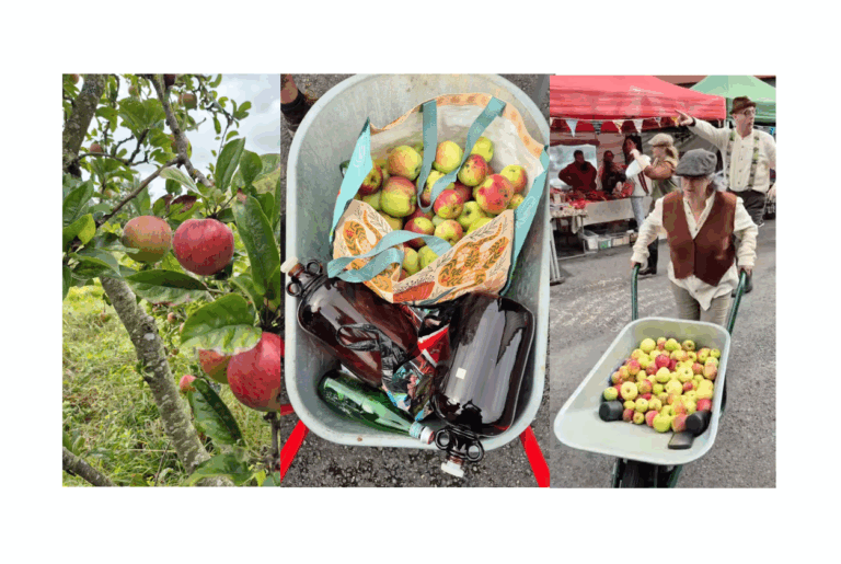 Volunteer-led community apple orchards are growing in Ireland