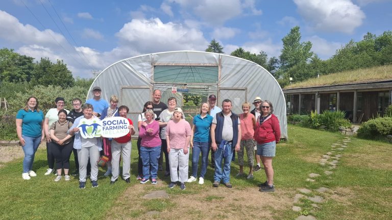 Social Farming Ireland now 10 years old and has just expanded
